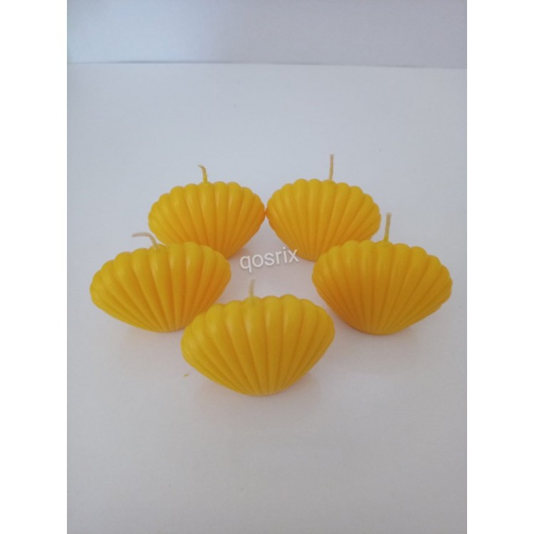 5'li Sarı Mini İstiridye Deniz Kabuğu 5'li Sarı Mini İstiridye Deniz Kabuğu