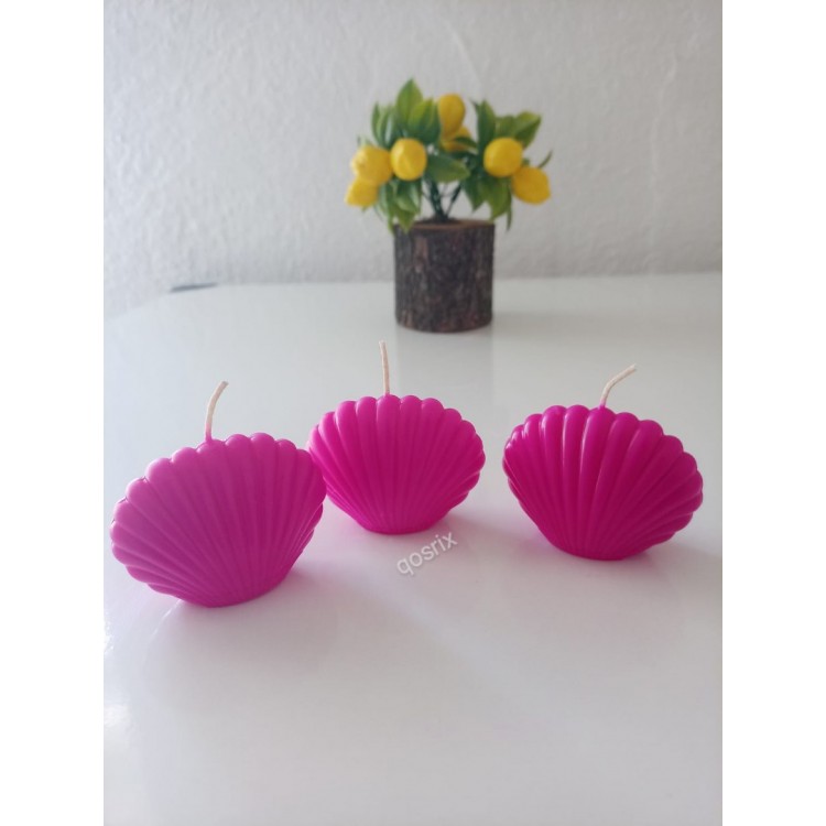 3'lü Pembe Fuşya Mini İstiridye Deniz Kabuğu 3'lü Pembe Fuşya Mini İstiridye Deniz Kabuğu