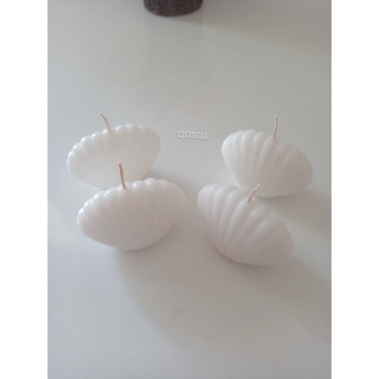 qosrix 4'lü Beyaz Mini Istiridye Deniz Kabuğu 1. Kalite Soya Doğal