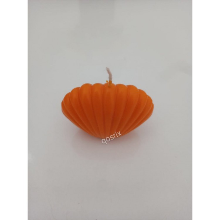 qosrix Turuncu Mini Istiridye Deniz Kabuğu 1. Kalite Soya Doğal qosrix Turuncu Mini Istiridye Deniz Kabuğu 1. Kalite Soya Doğal