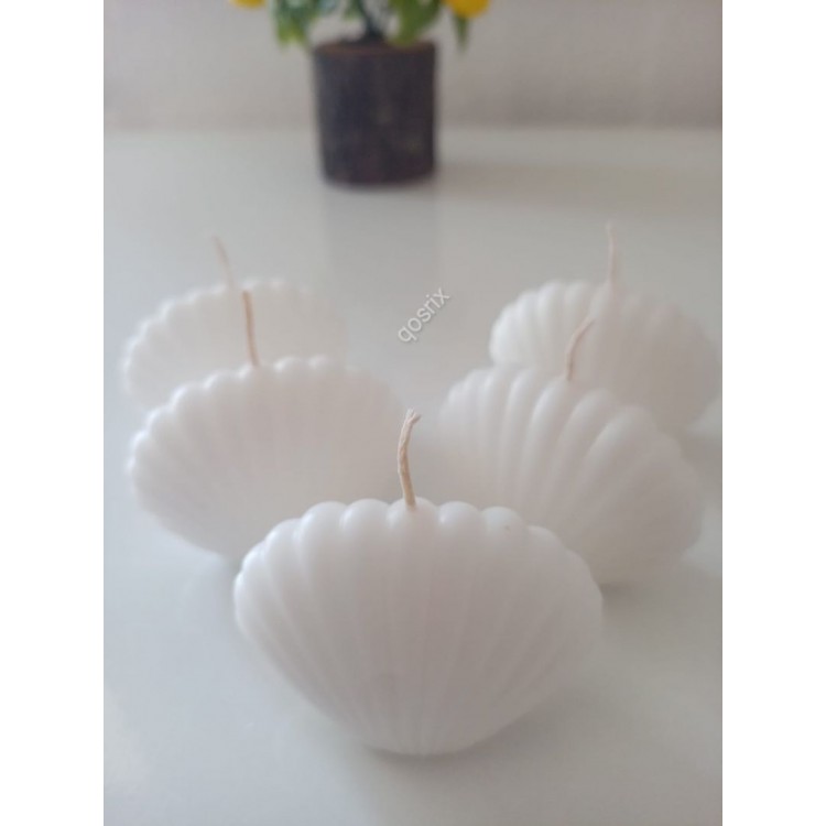 qosrix 5'li Beyaz Mini Istiridye Deniz Kabuğu 1. Kalite Soya Doğal
