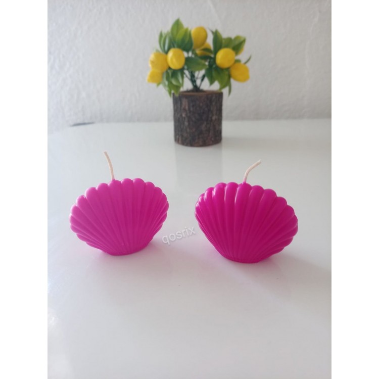 2'li Pembe Fuşya Mini İstiridye Deniz Kabuğu 2'li Pembe Fuşya Mini İstiridye Deniz Kabuğu